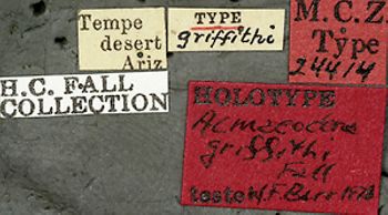 Media type: image;   Entomology 24414 Aspect: labels